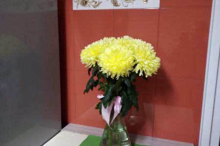 пансион для туристов и командированных