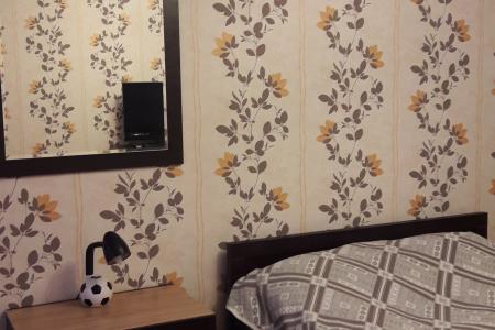 Однокомнатная квартира в центре города.