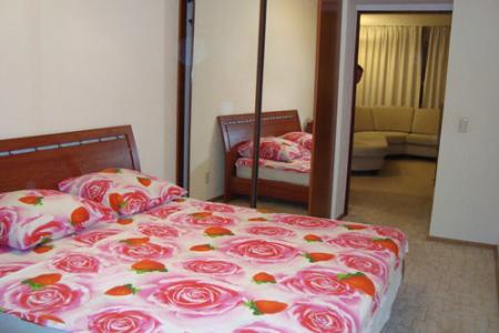 2-х комнатная квартира посуточно