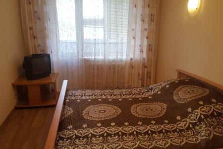 Хорошая однокомнатная квартира с двухспальной евро кроватью