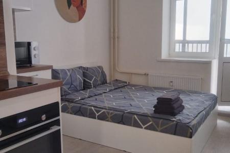 Студия с видом на Неву