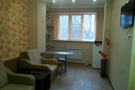 квартира в курортной зоне города, возле грязе-и водолечебницы,в шаговой доступности парк с озером.