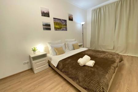 Просторные однокомнатные апартаменты Sunny Days Apartment