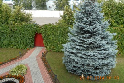 Коттедж по Волоколамскому шоссе на компанию до 35 человек