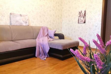 Однокомнатная квартира в центре