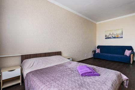 Современная квартира в новом районе (РТС)