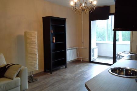 Однокомнатная студия со спальной комнатой