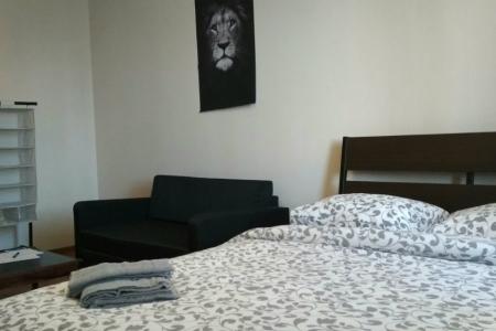 Однокомнатная квартира в Солнечногорске