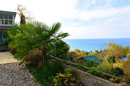 Дом с видом на море