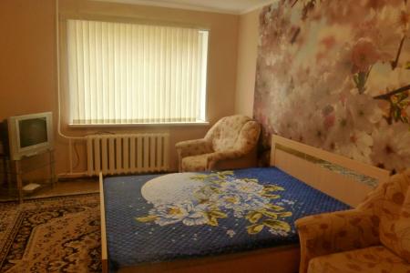 Однокомнатная квартира в центре города