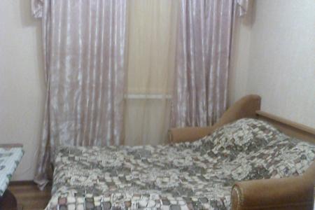 Мини-квартира эконом-класса, три минуты ходьбы до входа в парк ("Кафе Стеклянная струя")