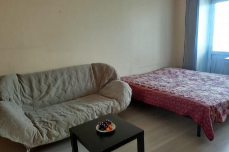 Уютная однокомнатная квартира возле автовокзала и краевой больницы