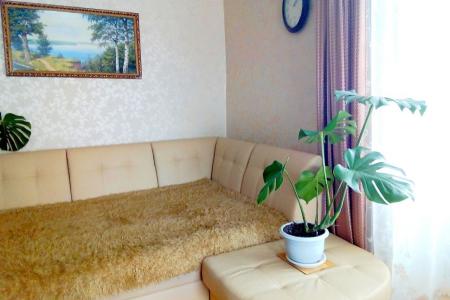 Уютная однокомнатная квартира