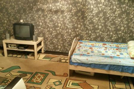 Однокомнатная квартира с хорошим ремонтом