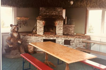 Сдам коттедж загородом.