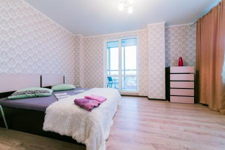2-комнатная квартира на Радищева.