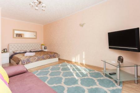 Однокомнатная кв у пл Я Колоса, Центр