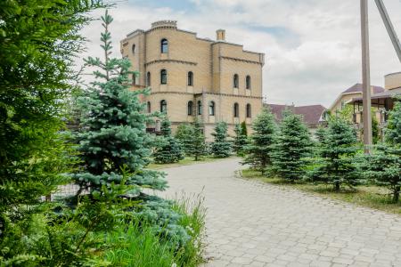 Вилла Замок с бассейном и сауной