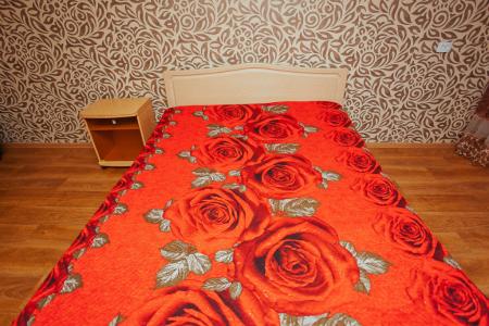 1 комн. квартира в центре . Орлова 27