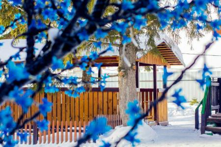 Аренда дома бани на сутки Героев Хасана  Липовая гора