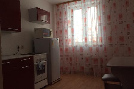 Уютная однокомнатная квартира