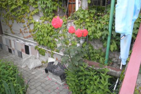Уютные номера в частном секторе в зеленой зоне