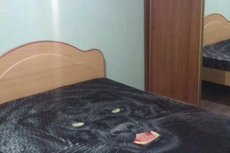 Двухкомнатная квартира