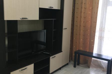 Чистая студия рядом с АВТОБАРАХОЛКОЙ аэропортом ПЕТУХОВА бородина