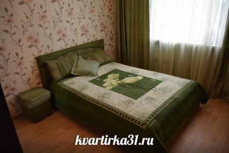 Двухкомнатная квартира рядом с Филармонией