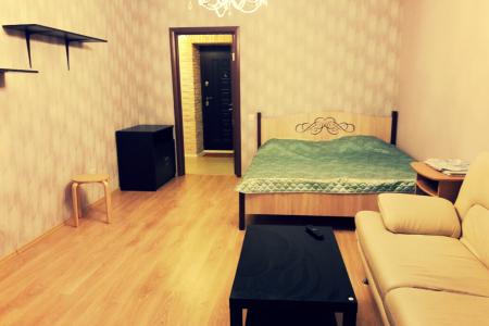 1-комнатная квартира рядом с Волгой