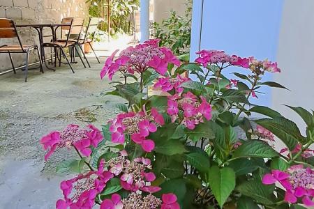 Гостевой дом Виноградная Лоза