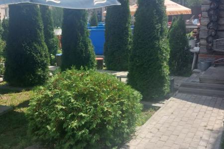 Сдаю дом посуточно в центре города