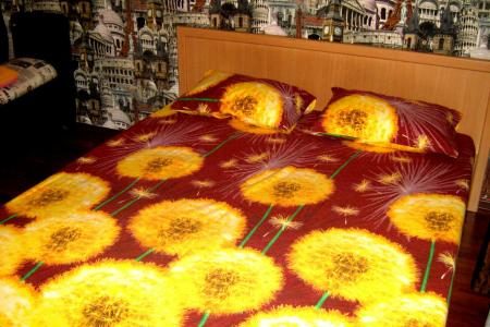 Wi-Fi,отчетные документы