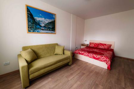 однакомнатная квартира возле стадиона "Спартак"