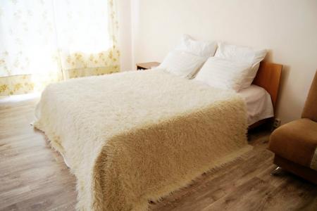 1-к в центре,wi fi,отчет док.