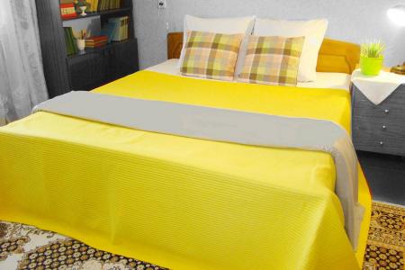 1-комнатная квартира на сутки и более по ул.Горького (центр), WiFi и все необходимое для проживания