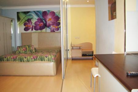 Уютная однокомнатная квартира студия