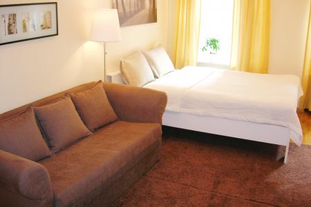 Однокомнатная квартира в самом центре. Владимирская площадь.