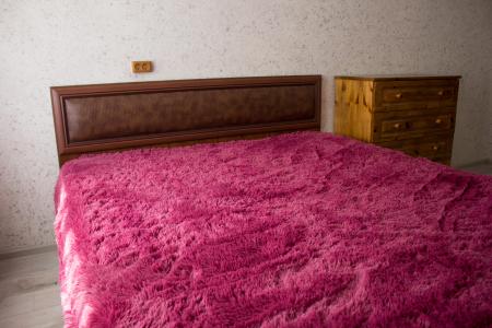 Двухкомнатная квартира в центре города