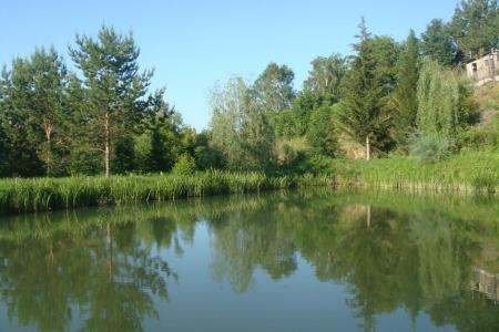 дом у пруда