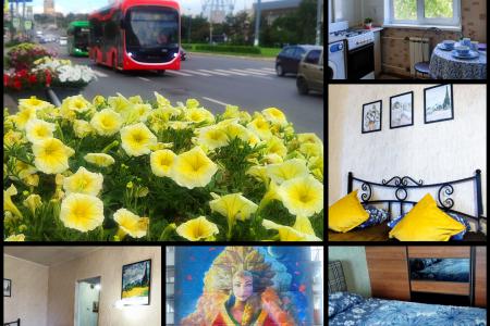 Двухкомнатная квартира возле колеса обозрения