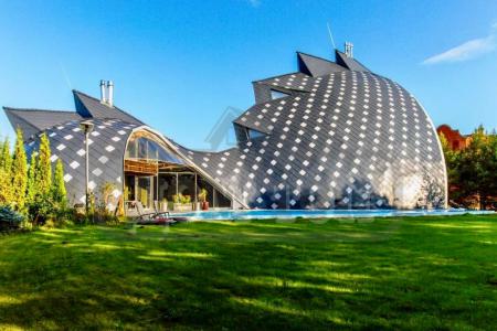 Топ 38 Акула