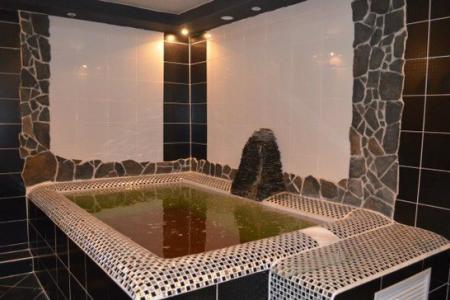 Собственник. Коттедж на сутки в Москве. Низкие цены. Акции и скидки