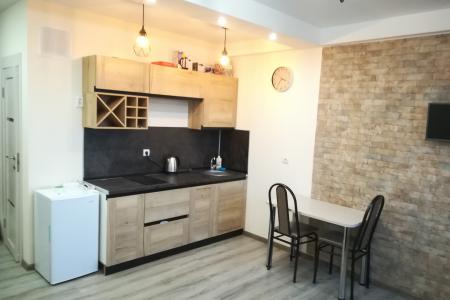 Квартира-студия LOFT