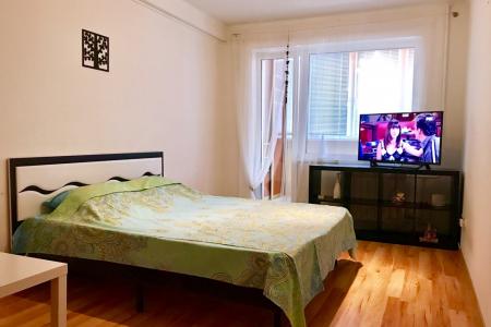 1-Комнатная квартира класса Люкс. Метро «Пушкинская»