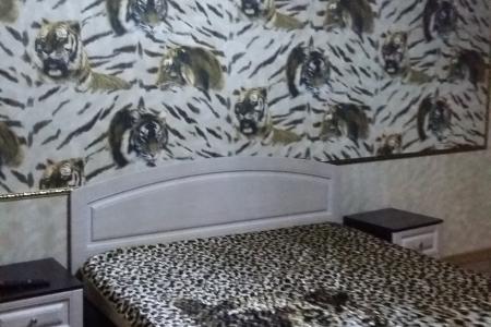 Однокомнатная квартира в центре города