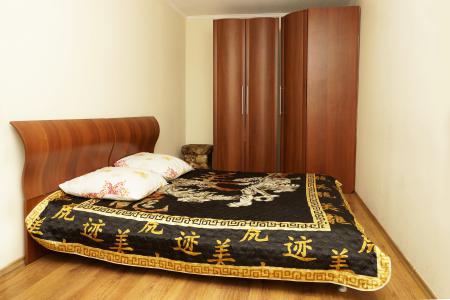 Двухкомнатная квартира на Терешковой, 16