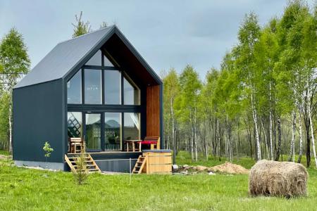 LATO "Шалфей" с купелью