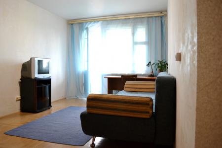 Солнечная однокомнатная квартира с видом на Финский залив, на маяк и Парк 300-летия.