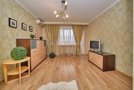 1-комнатная квартира на Большой Садовой